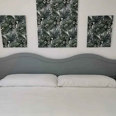 Oasis San Antonio